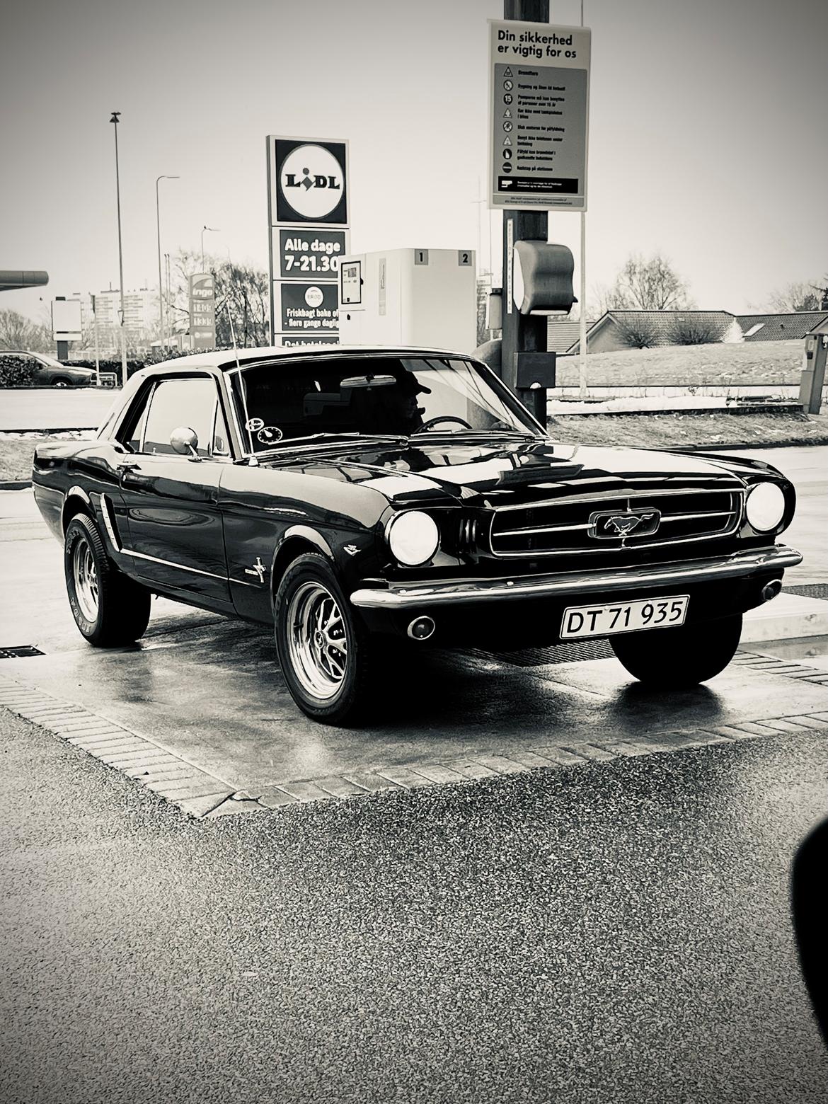 Ford Mustang billede 1