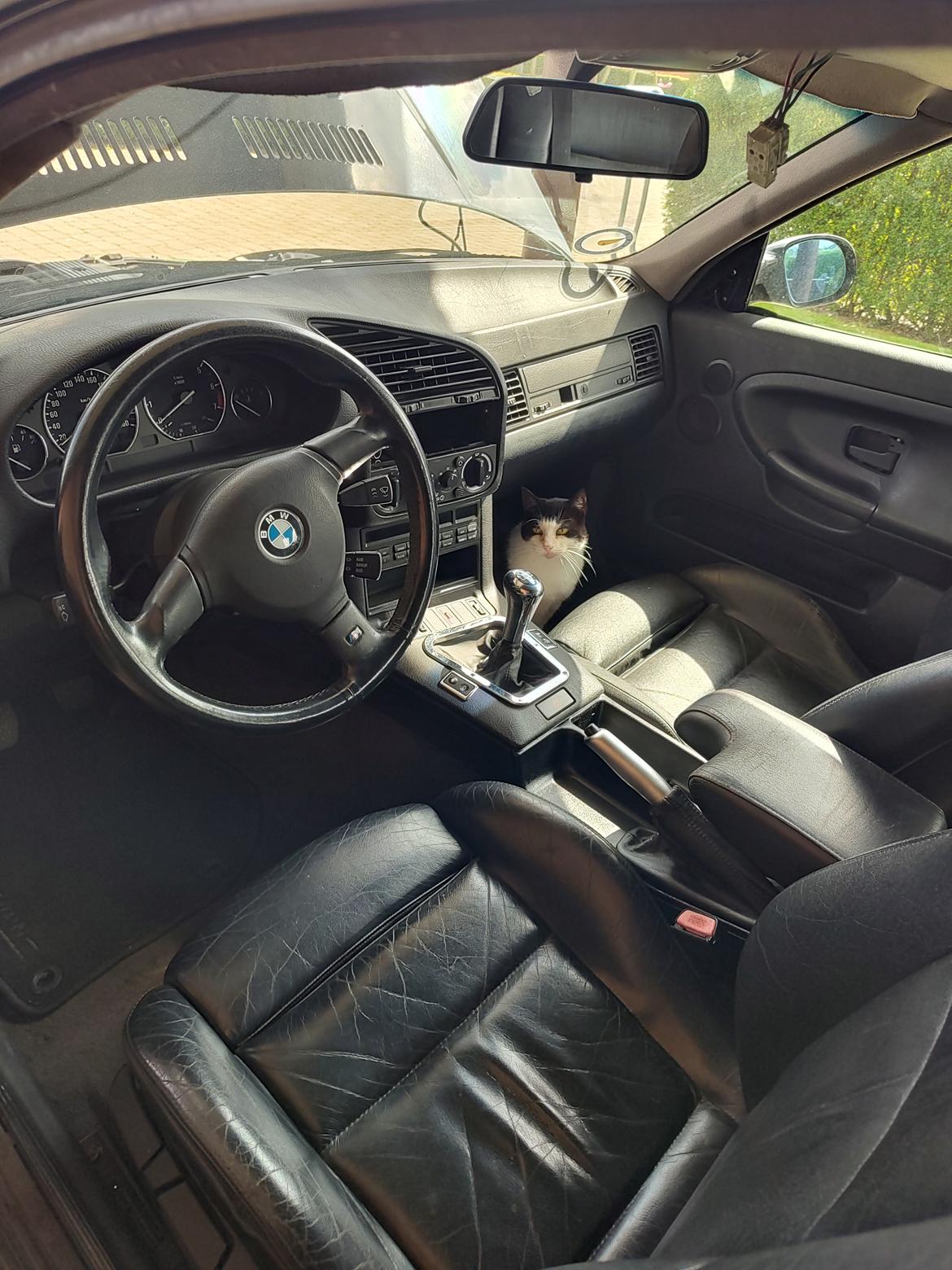 BMW E36 325i coupé - interiør billede 11