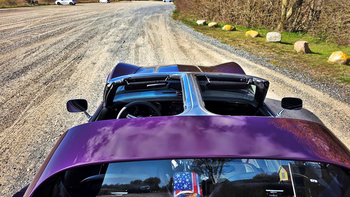 Chevrolet Corvette billede 6