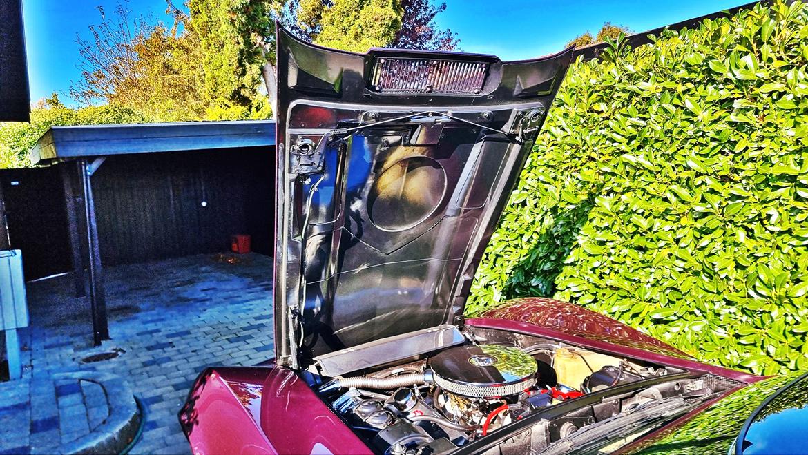 Chevrolet Corvette billede 45