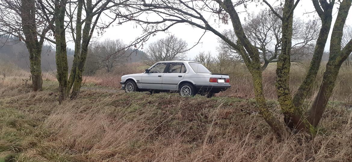 BMW E30 324d billede 2