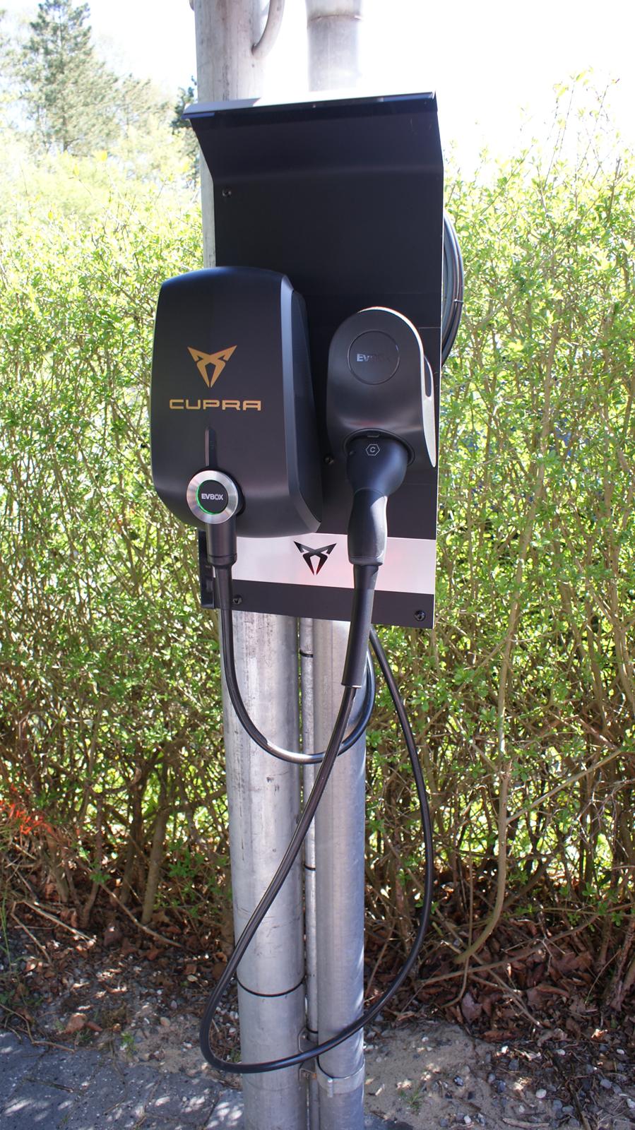 Seat Cupra Born billede 34