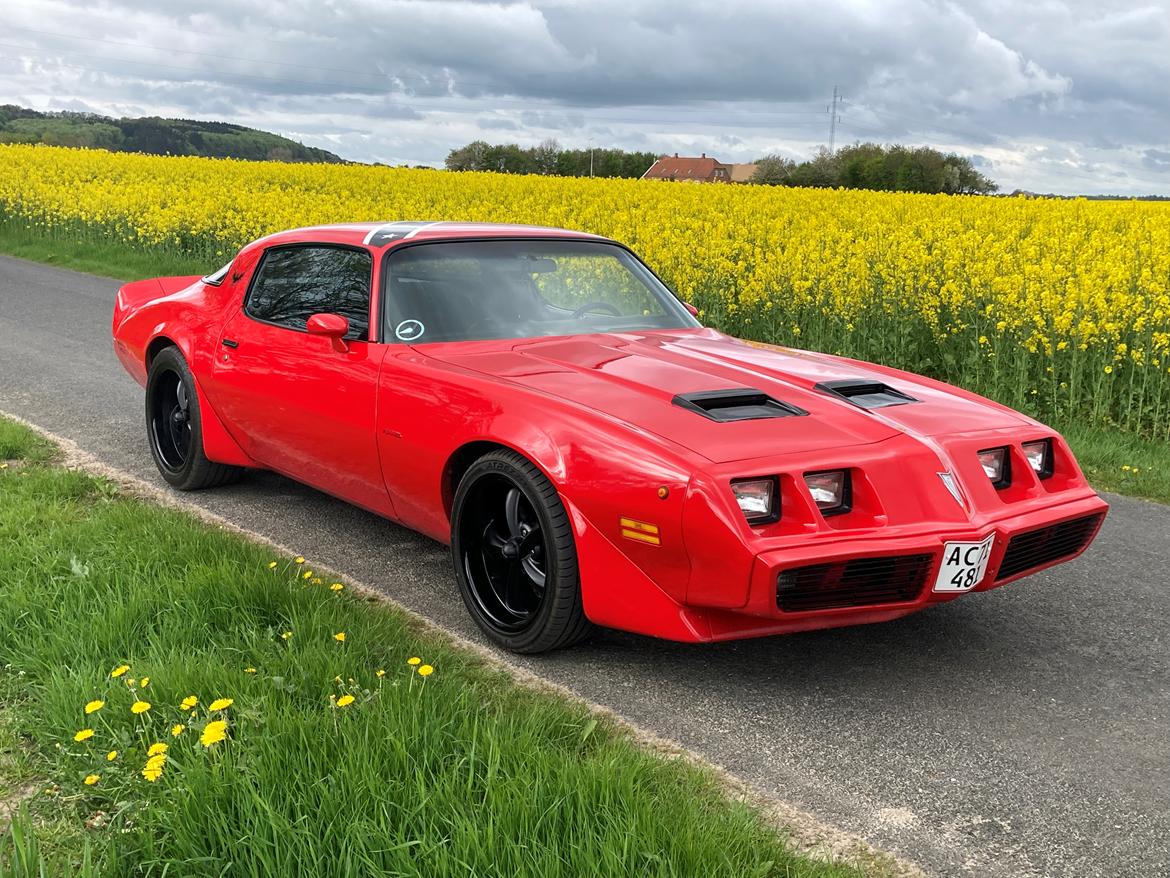 Pontiac Firebird 301 4.9 V8 RTS model billede 1