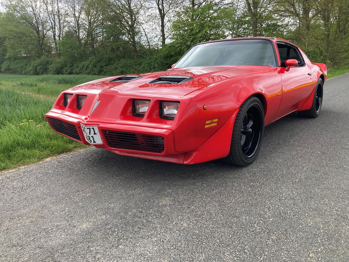 Pontiac Firebird 301 4.9 V8 RTS model billede 4
