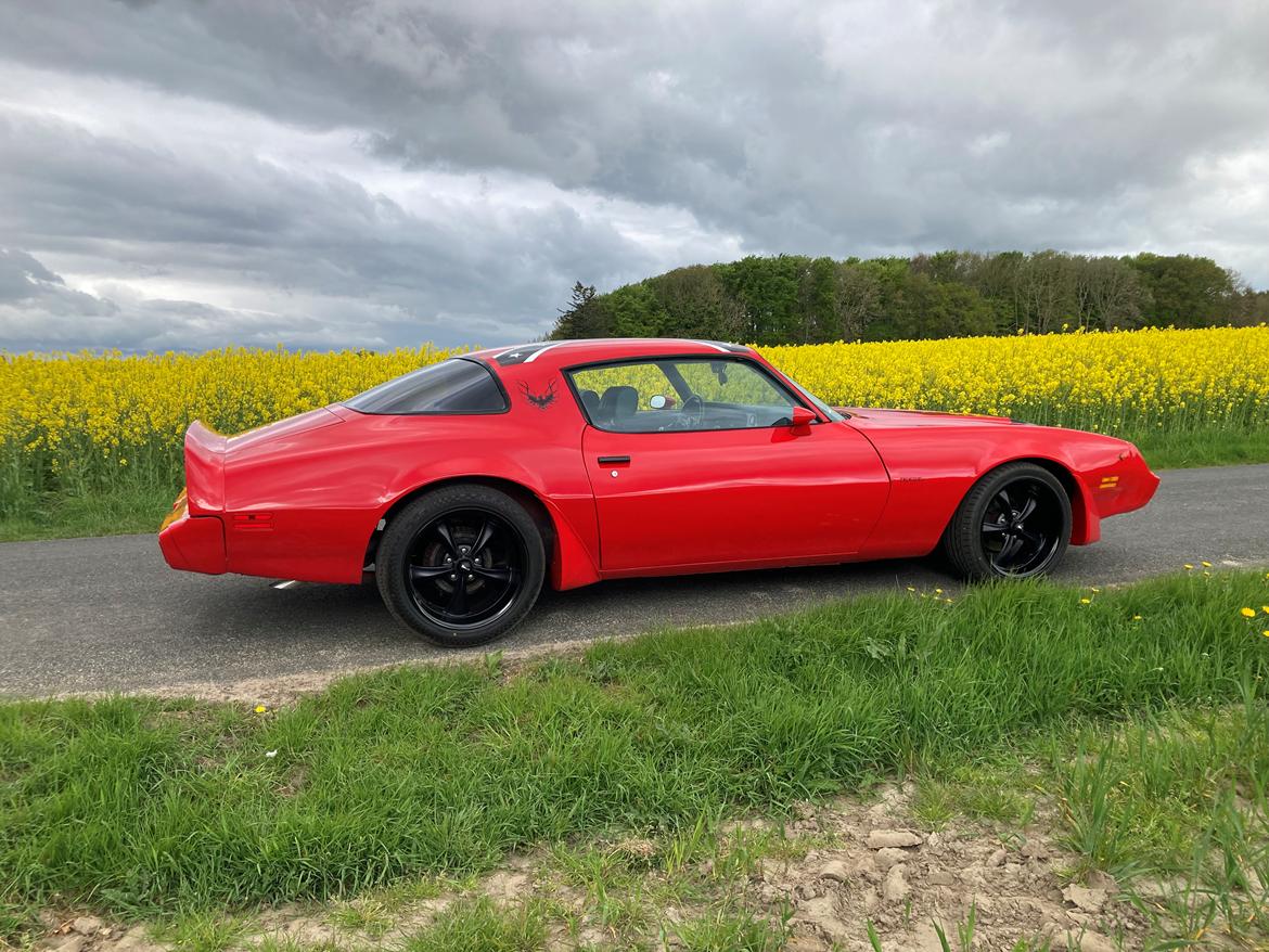 Pontiac Firebird 301 4.9 V8 RTS model billede 5