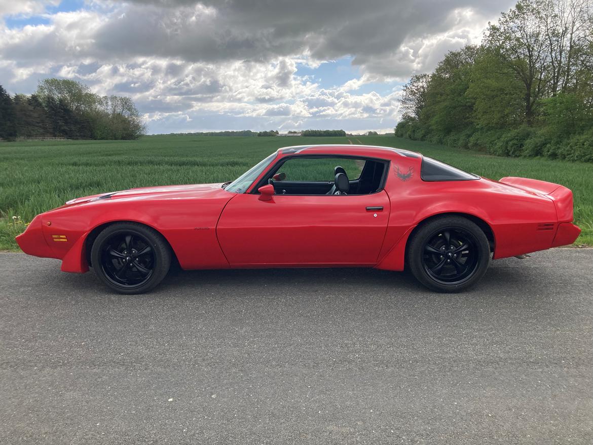 Pontiac Firebird 301 4.9 V8 RTS model billede 6