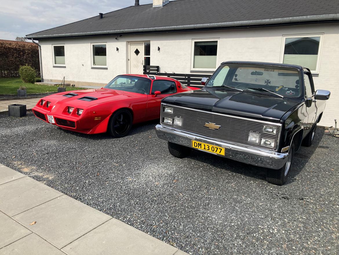 Pontiac Firebird 301 4.9 V8 RTS model billede 19