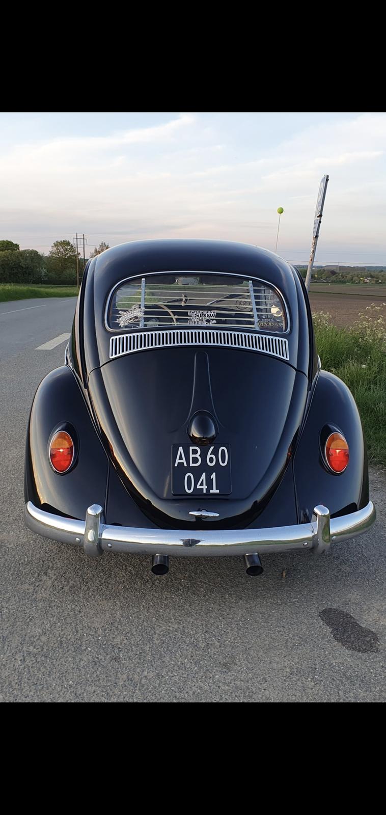 VW 113 billede 1