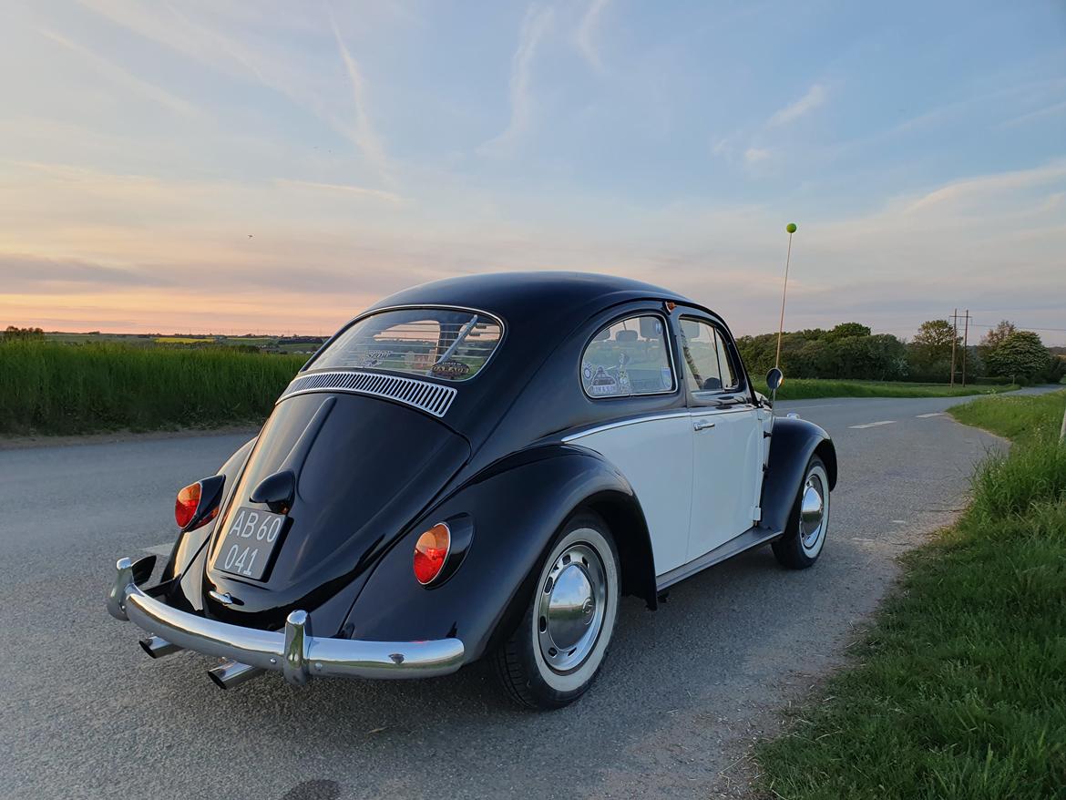 VW 113 billede 2