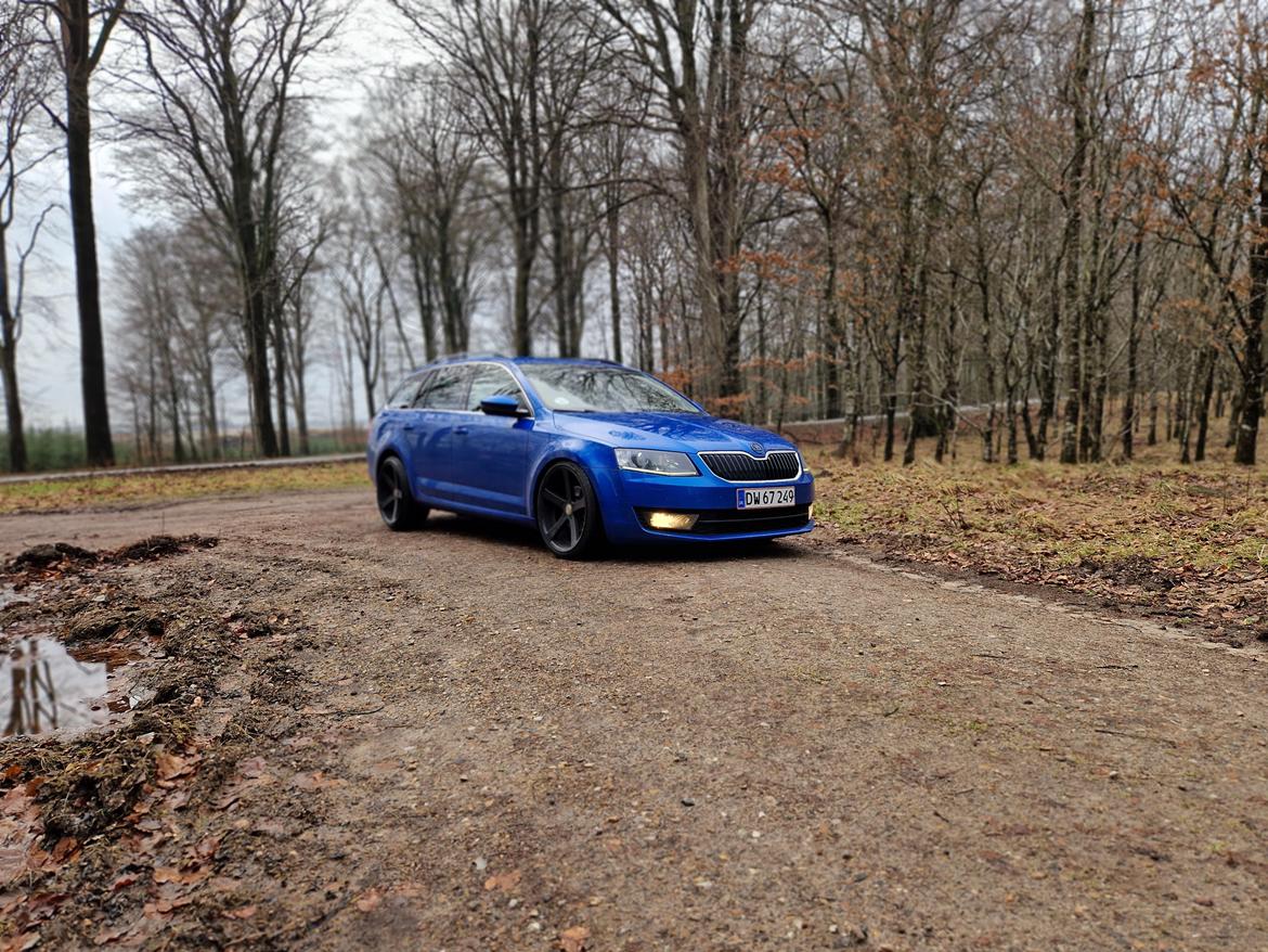 Skoda Octavia 5e combi  billede 12