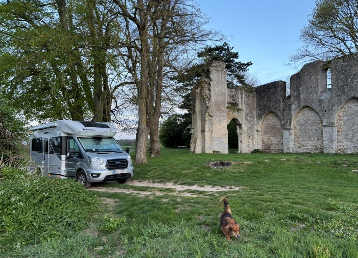 Ford Transit Benimar Tessoro 481 billede 2