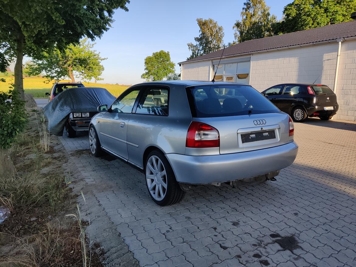Audi A3 8L 1.8T - Sådan så den ud da jeg købte den... billede 18