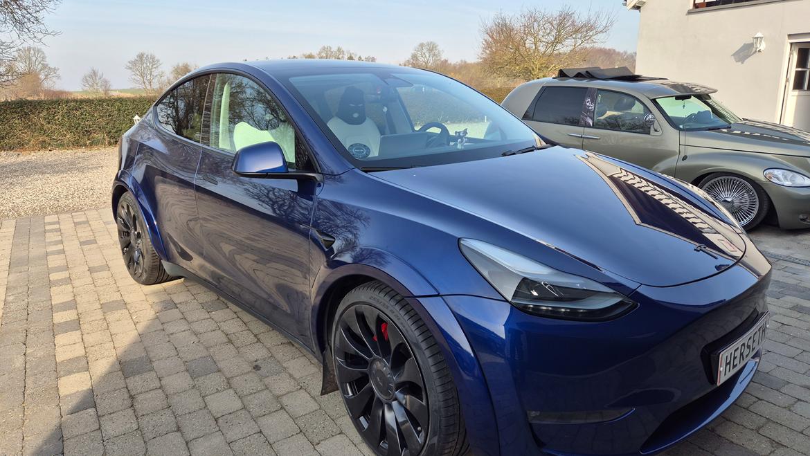 Tesla Y Performance  billede 5