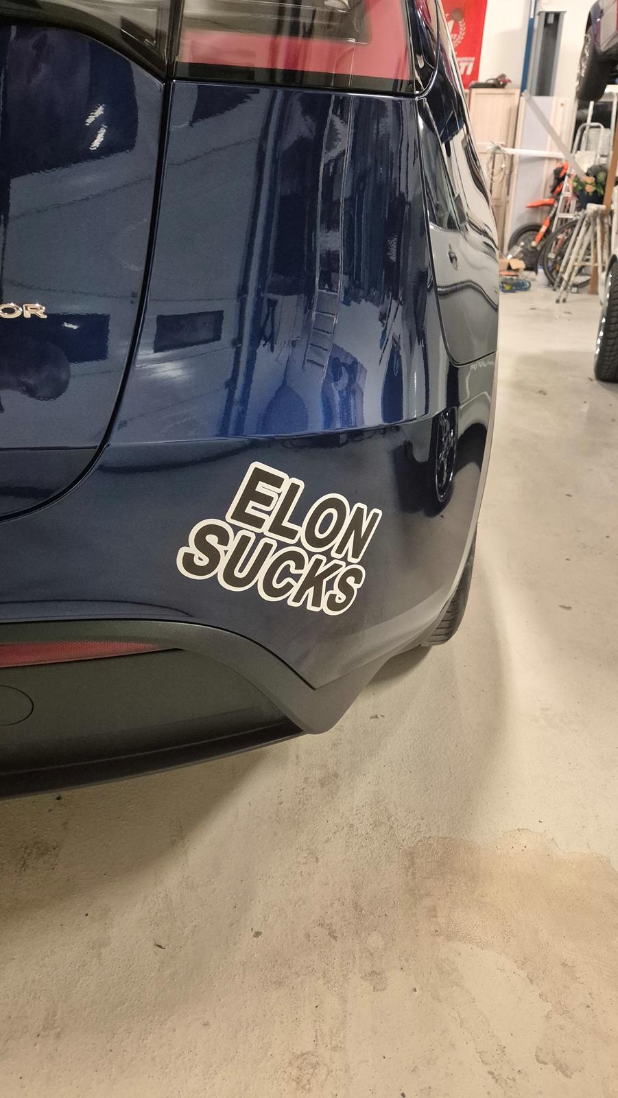 Tesla Y Performance  billede 8