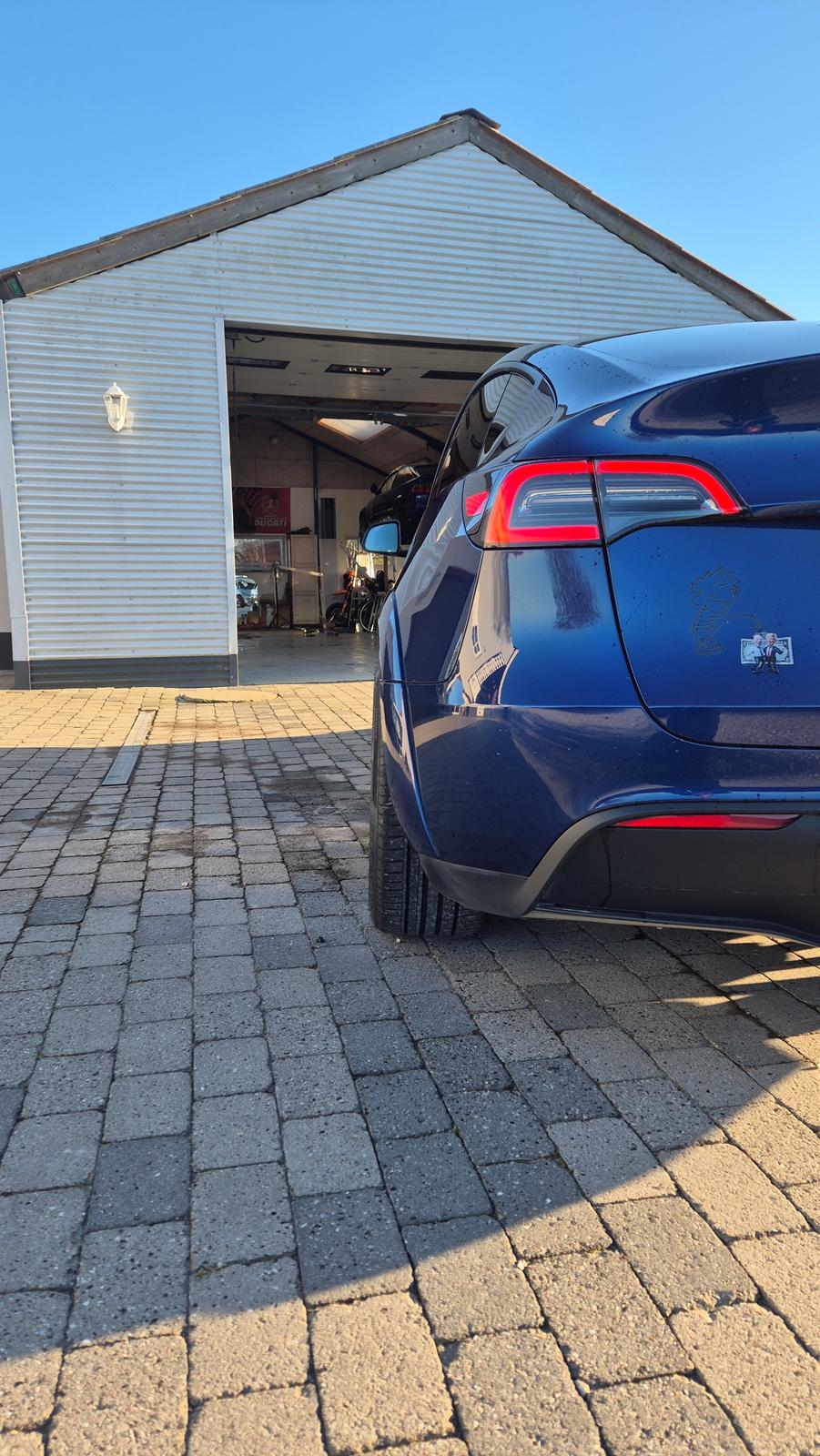 Tesla Y Performance  billede 12