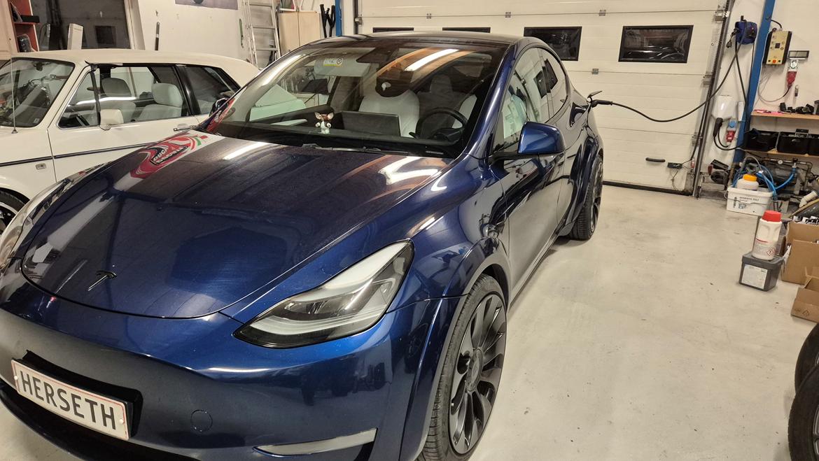 Tesla Y Performance  billede 14