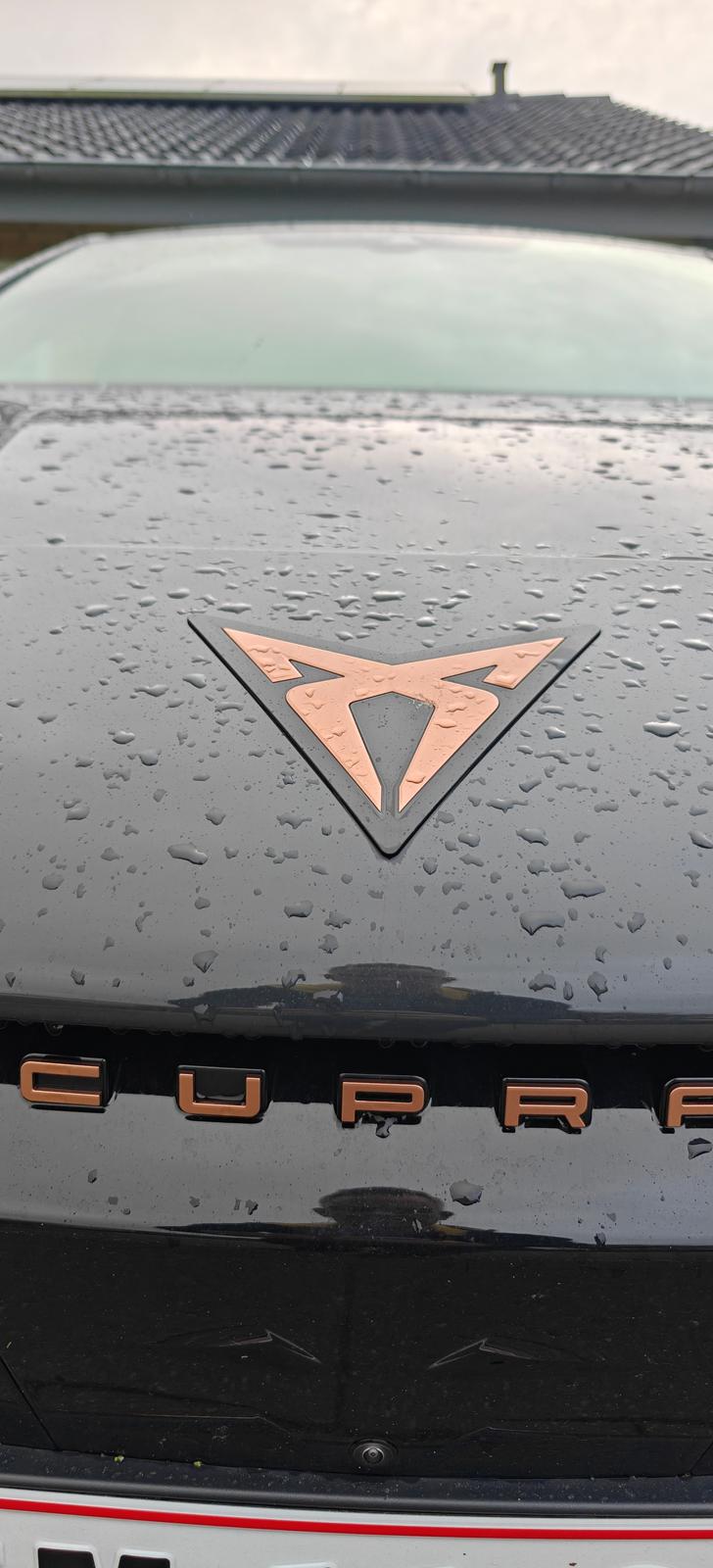 Seat Cupra Tavascan Adrenaline billede 13
