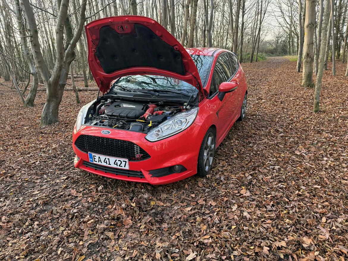 Ford fiesta ST billede 5