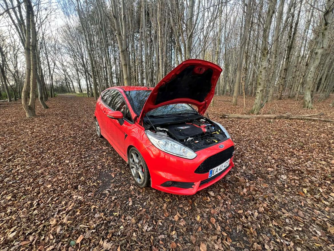 Ford fiesta ST billede 17