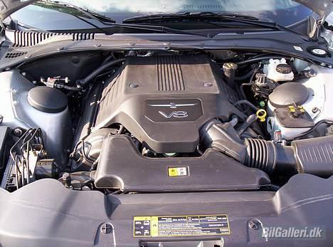 Ford THUNDERBIRD billede 5