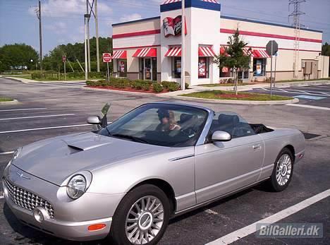 Ford THUNDERBIRD billede 6