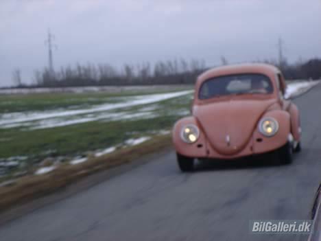 VW bobbel-ovaler-solgt billede 7