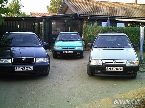 Skoda Favorit 136 Silverline   - Skoda træf i indkørslen. Feliciaen og Octaviaen er mine forældres. billede 8