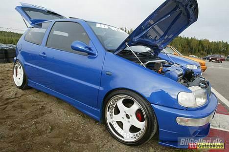 VW Polo 6n Colour concept billede 6