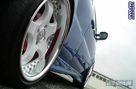 VW Polo 6n Colour concept billede 9