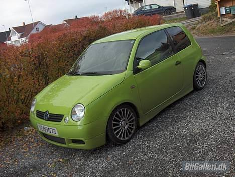 VW Lupo - Photoshoot bilder. billede 1