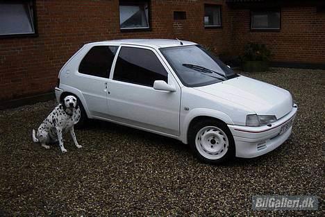 Peugeot 106 Rallye R.I.P. - Hov der var lige en hund billede 6
