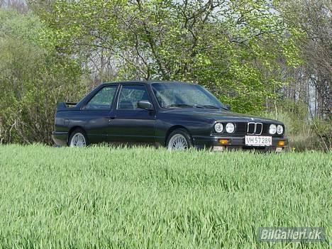 BMW E30 M3 billede 4