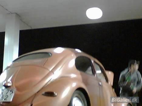 VW bobbel-ovaler-solgt billede 10