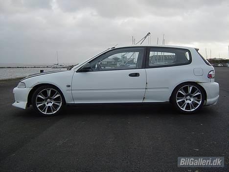 Honda Civic **** R.I.P.**** billede 15