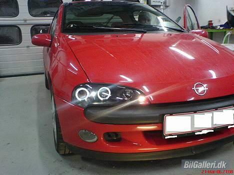 Opel Tigra - Angel Eyes og org. tågelys... :) Angel Eyes ser fedt ud til en Tigra synes jeg... :) billede 1