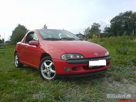 Opel Tigra - Strandbillede... :) billede 4