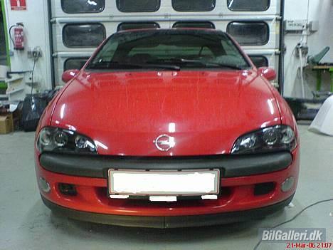 Opel Tigra - Synes fronten er den bedste ting ved en Tigra... :) billede 13