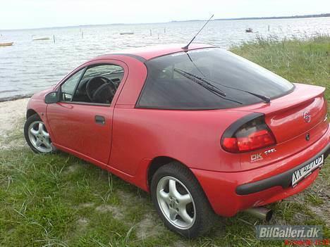 Opel Tigra - Tigra ved stranden... :) billede 18
