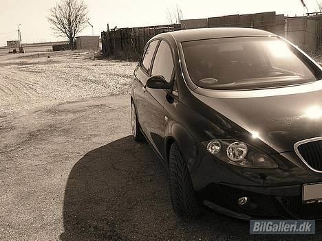 Seat Altea DSG billede 15