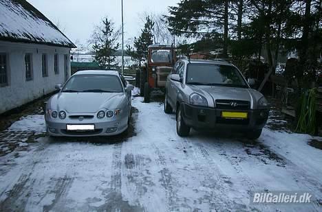 Hyundai Tucson "Afrodite" *Solgt* - Er de ikke søde? Mine to tøser :) Elsker jer! Og så gamle trofast i baggrunden, han nyder vel synet bagfra ;) billede 3