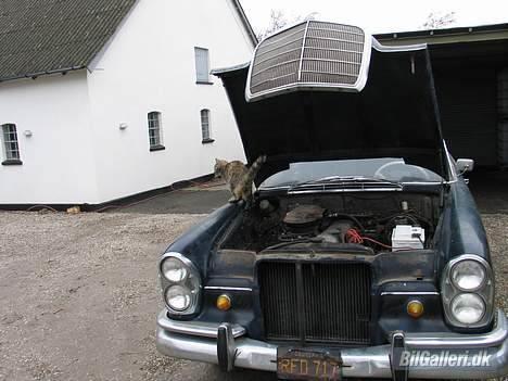 Mercedes Benz W111 220sb Automatic billede 3