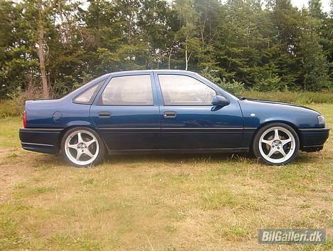 Opel Vectra A "pit bull"  - måske man skulle have tømt bagerummet inden man tog billeder billede 5