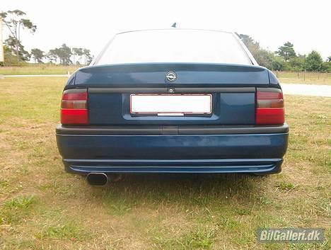 Opel Vectra A "pit bull"  - fin røv billede 12