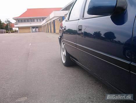 Opel Vectra A "pit bull"  - siden af bilen.. ser sgu godt ud billede 15