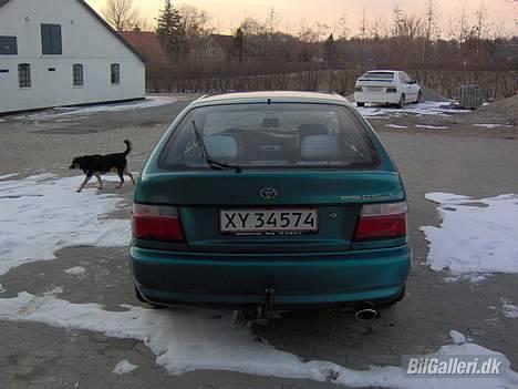 Toyota Corolla billede 8