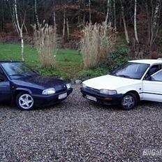 Citroën Bx 16 TGI Totalskadet