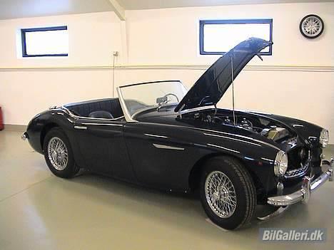 Austin-Morris Austin Healey billede 1