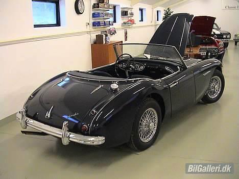 Austin-Morris Austin Healey billede 2
