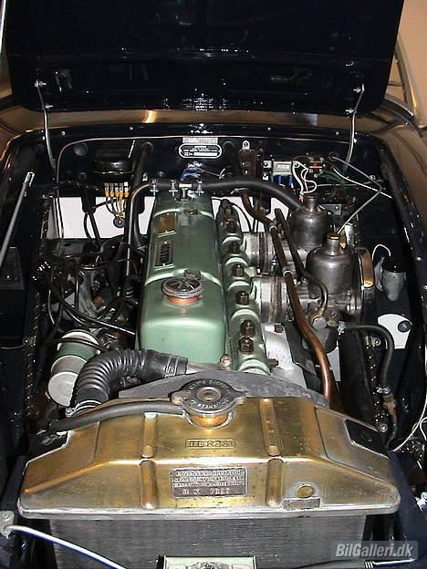 Austin-Morris Austin Healey billede 4