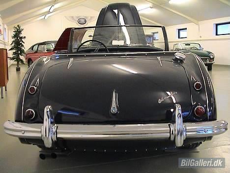 Austin-Morris Austin Healey billede 6